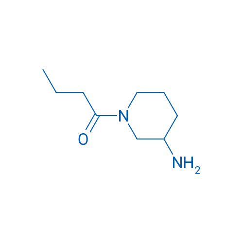 1-(3-Aminopiperidin-1-yl)butan-1-one 1g