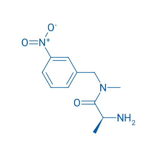 (S)-2-Amino-N-methyl-N-(3-nitrobenzyl)propanamide 1g