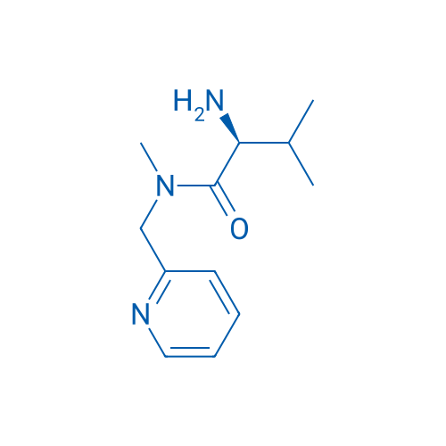 (S)-2-Amino-N,3-dimethyl-N-(pyridin-2-ylmethyl)butanamide 1g