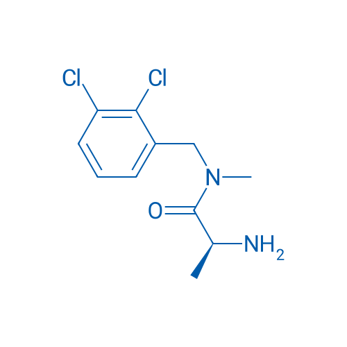 (S)-2-Amino-N-(2,3-dichlorobenzyl)-N-methylpropanamide 1g
