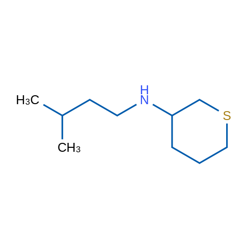 N-(3-Methylbutyl)thian-3-amine 10g