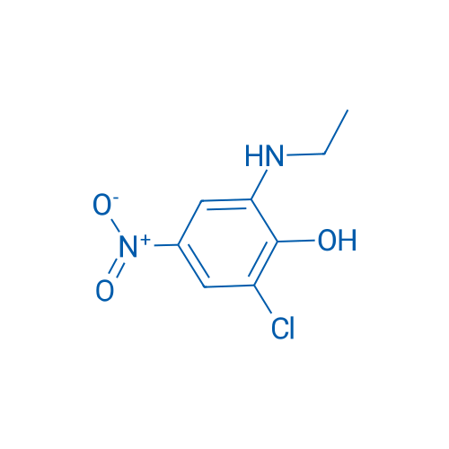 2-Chloro-6-(ethylamino)-4-nitrophenol 25g