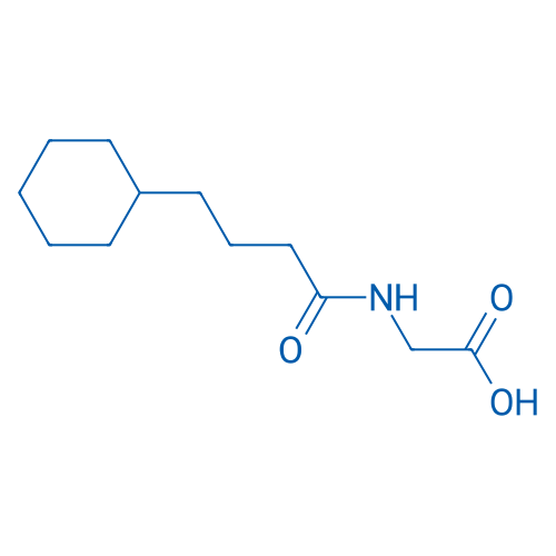 2-(4-Cyclohexylbutanamido)acetic acid 1g