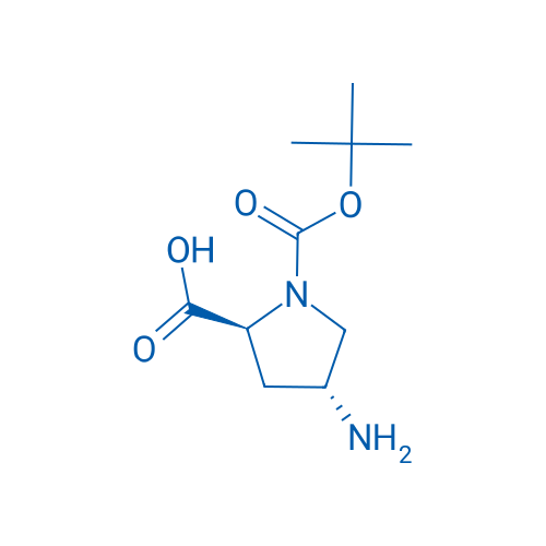 (2S,4R)-4-Amino-1-(tert-butoxycarbonyl)pyrrolidine-2-carboxylic acid 1g
