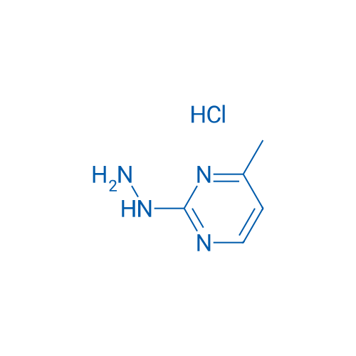 2-Hydrazinyl-4-methylpyrimidine hydrochloride 1g