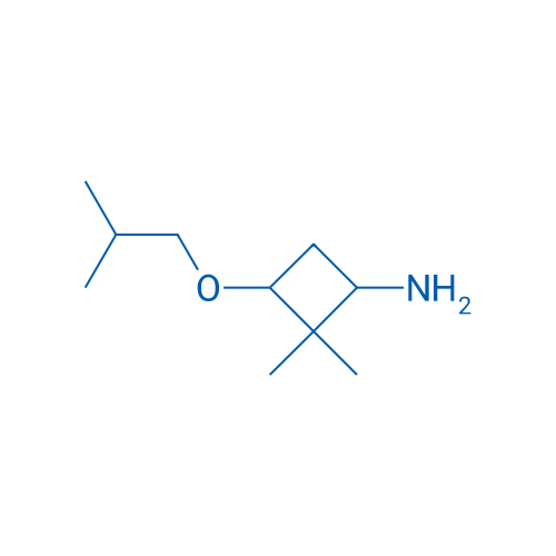 2,2-dimethyl-3-(2-methylpropoxy)cyclobutan-1-amine 1g