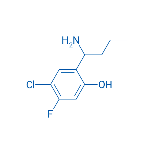 2-(1-Aminobutyl)-4-chloro-5-fluorophenol 1g
