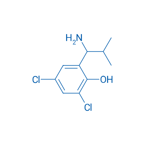 2-(1-Amino-2-methylpropyl)-4,6-dichlorophenol 1g