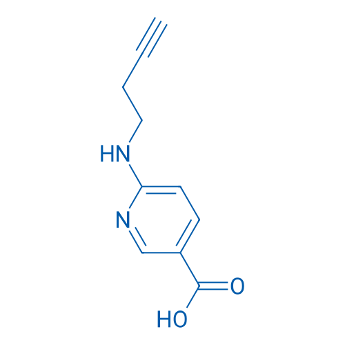 6-[(But-3-yn-1-yl)amino]pyridine-3-carboxylic acid 1g