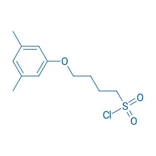 4-(3,5-Dimethylphenoxy)butane-1-sulfonyl chloride 1g