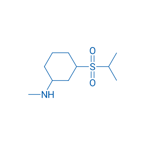 N-methyl-3-(propane-2-sulfonyl)cyclohexan-1-amine 1g