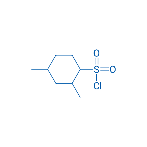 2,4-Dimethylcyclohexane-1-sulfonyl chloride 1g