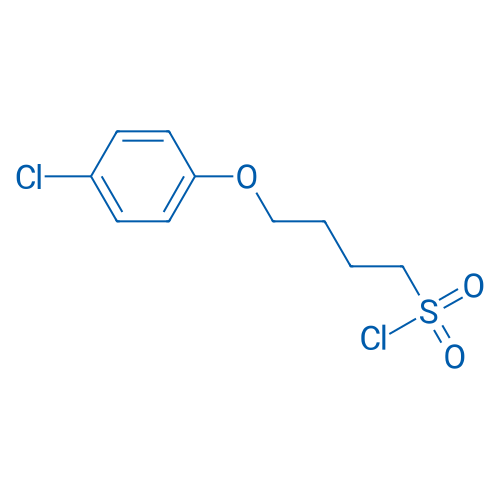 4-(4-Chlorophenoxy)butane-1-sulfonyl chloride 1g