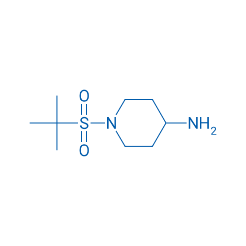 1-(2-Methylpropane-2-sulfonyl)piperidin-4-amine 1g