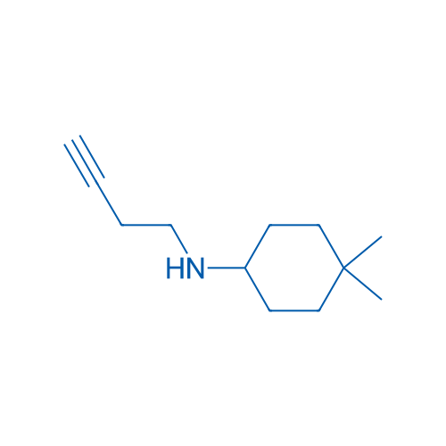 N-(but-3-yn-1-yl)-4,4-dimethylcyclohexan-1-amine 1g