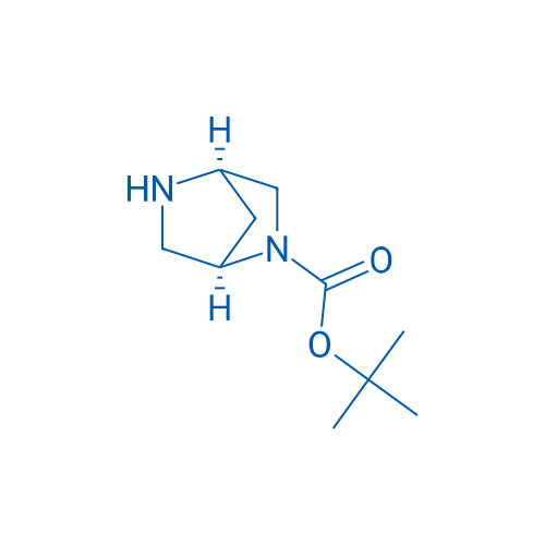 (1R,4R)-tert-Butyl 2,5-diazabicyclo[2.2.1]heptane-2-carboxylate 1g