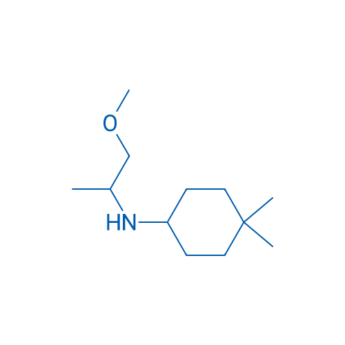 N-(1-Methoxypropan-2-yl)-4,4-dimethylcyclohexan-1-amine 1g