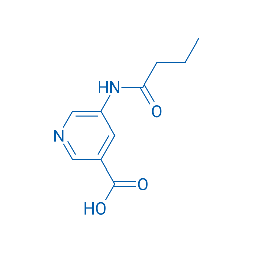 5-Butanamidopyridine-3-carboxylic acid 1g