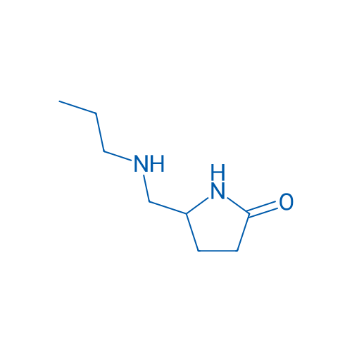 5-[(Propylamino)methyl]pyrrolidin-2-one 1g