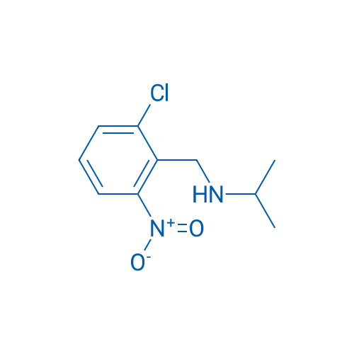 [(2-CHloro-6-nitrophenyl)methyl](propan-2-yl)amine 1g