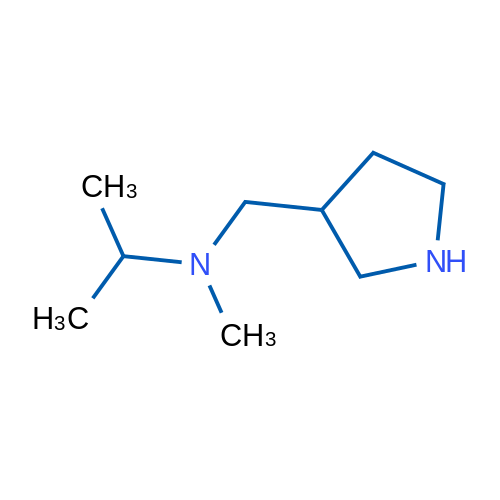 N-Methyl-N-(pyrrolidin-3-ylmethyl)propan-2-amine 1g