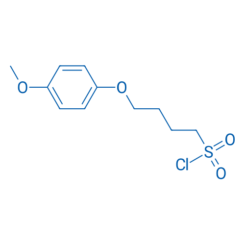 4-(4-Methoxyphenoxy)butane-1-sulfonyl chloride 1g