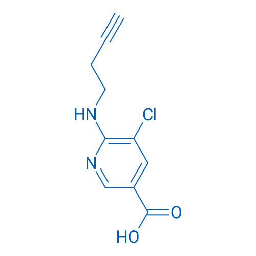 6-[(But-3-yn-1-yl)amino]-5-chloropyridine-3-carboxylic acid 1g