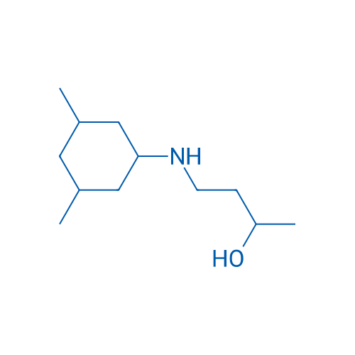 4-[(3,5-Dimethylcyclohexyl)amino]butan-2-ol 1g