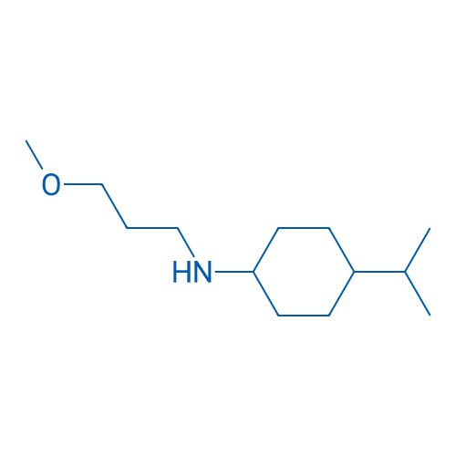 N-(3-Methoxypropyl)-4-(propan-2-yl)cyclohexan-1-amine 1g