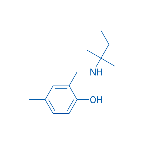 4-Methyl-2-{[(2-methylbutan-2-yl)amino]methyl}phenol 1g