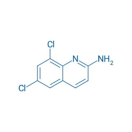 6,8-Dichloroquinolin-2-amine 1g