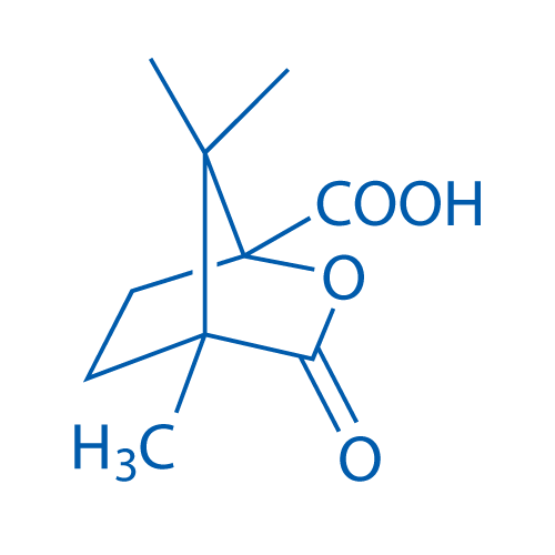 (1S)-(-)-Camphanic acid 10g