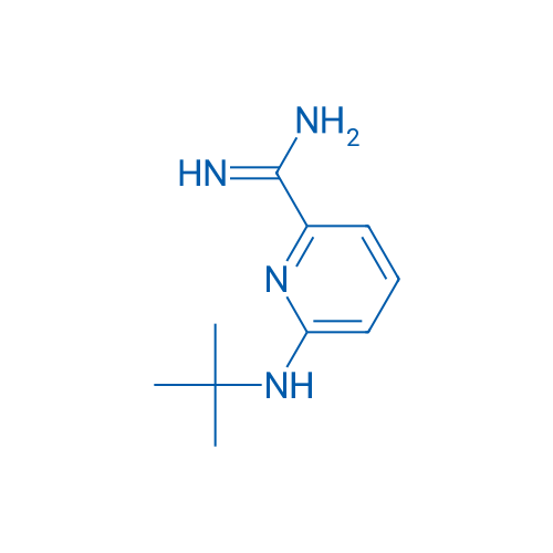 6-(tert-Butylamino)pyridine-2-carboximidamide 1g