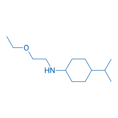 N-(2-Ethoxyethyl)-4-(propan-2-yl)cyclohexan-1-amine 250mg