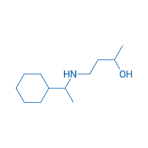 4-[(1-Cyclohexylethyl)amino]butan-2-ol 1g