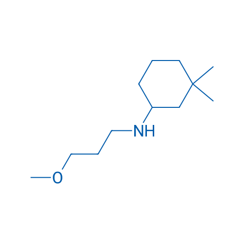 N-(3-Methoxypropyl)-3,3-dimethylcyclohexan-1-amine 1g