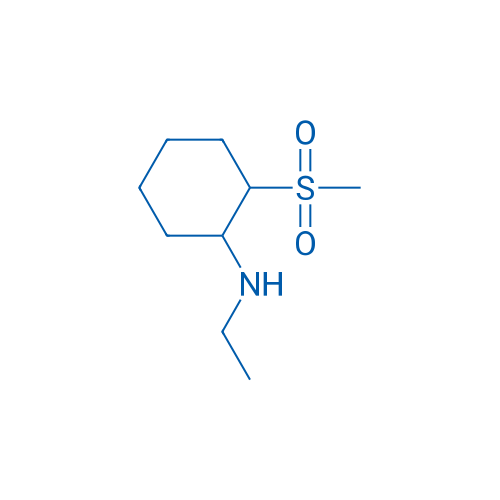 N-ethyl-2-methanesulfonylcyclohexan-1-amine 1g