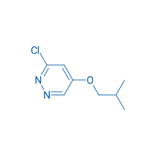 3-Chloro-5-isobutoxypyridazine 1g