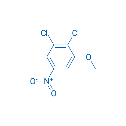 2,3-Dichloro-5-nitroanisole 1g