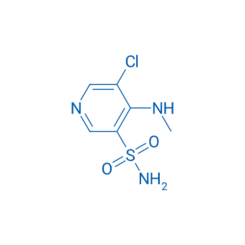 5-Chloro-4-(methylamino)pyridine-3-sulfonamide 1g
