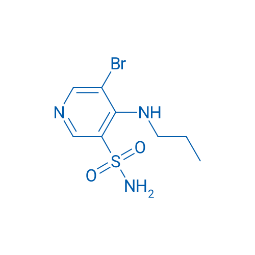 5-Bromo-4-(propylamino)pyridine-3-sulfonamide 1g