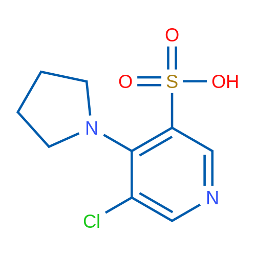 5-Chloro-4-(pyrrolidin-1-yl)pyridine-3-sulfonic acid 1g