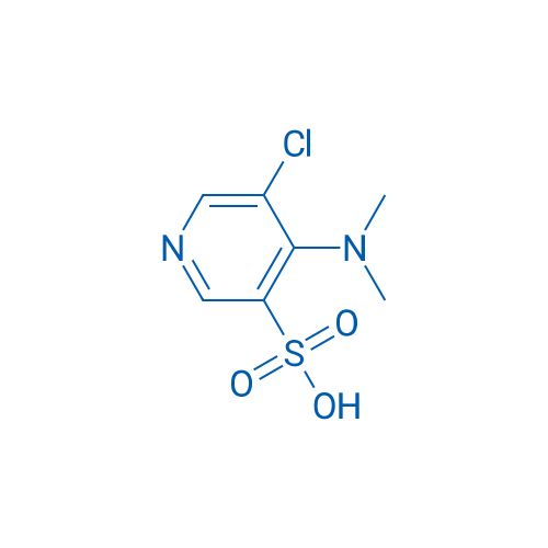 5-Chloro-4-(dimethylamino)pyridine-3-sulfonic acid 1g