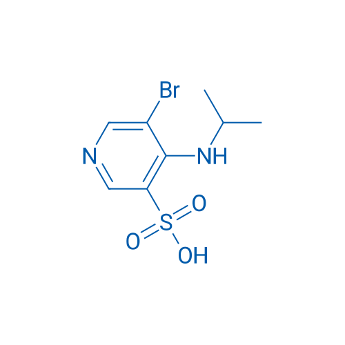 5-Bromo-4-(isopropylamino)pyridine-3-sulfonic acid 1g