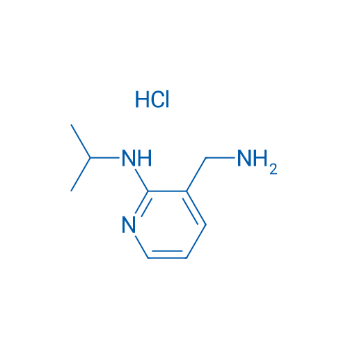 3-(Aminomethyl)-N-isopropylpyridin-2-amine hydrochloride 1g