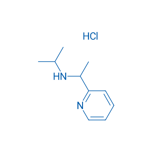 N-(1-(Pyridin-2-yl)ethyl)propan-2-amine hydrochloride 1g