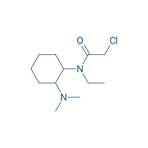 2-Chloro-N-(2-(dimethylamino)cyclohexyl)-N-ethylacetamide 1g