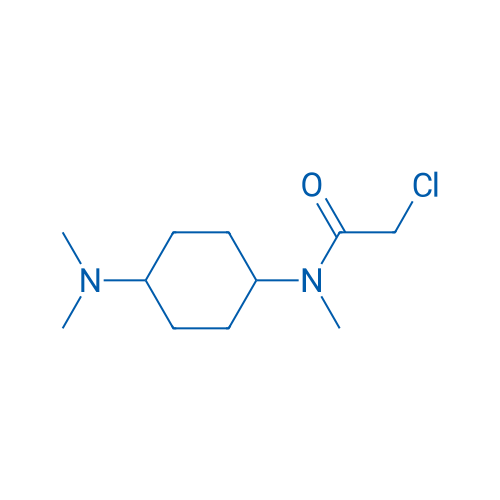 2-Chloro-N-(4-(dimethylamino)cyclohexyl)-N-methylacetamide 1g