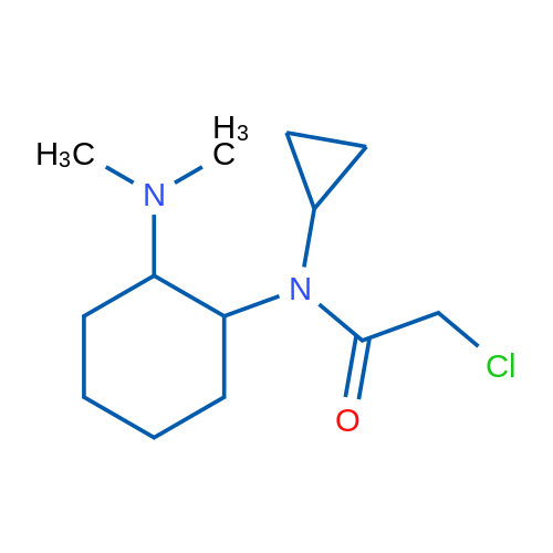 2-Chloro-N-cyclopropyl-N-(2-(dimethylamino)cyclohexyl)acetamide 1g