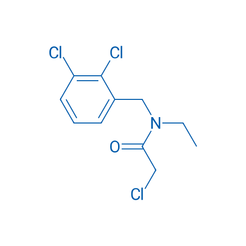 2-Chloro-N-(2,3-dichlorobenzyl)-N-ethylacetamide 1g